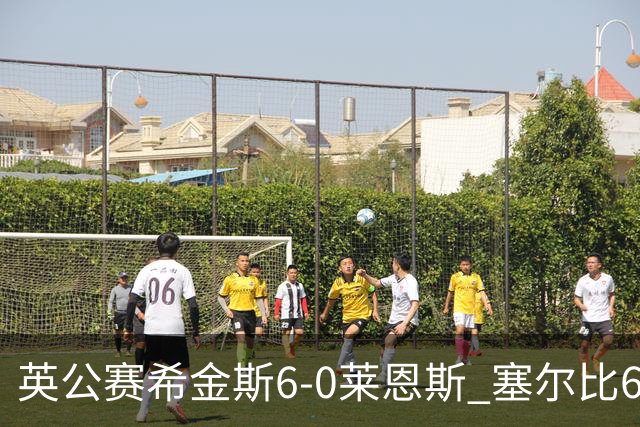 英公赛希金斯6-0莱恩斯 塞尔比6-3艾伦携手进决赛